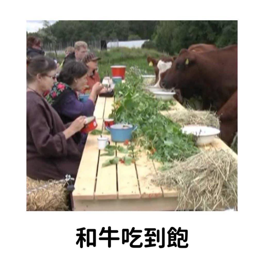 什么是『和牛吃到饱』?解析这个爆火的中日双语梗 - 梗百科 - 梗百科