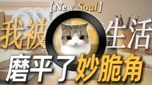 妙脆角小猫